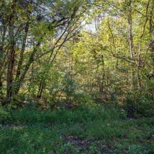 Photo #16 of  3.0 acres