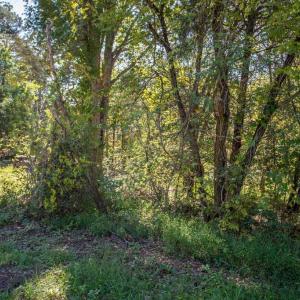 Photo #17 of  3.0 acres