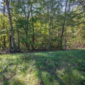 Photo #26 of  3.0 acres