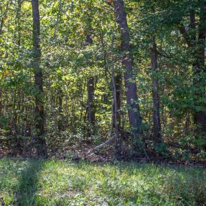 Photo #27 of  3.0 acres