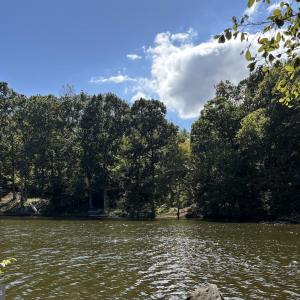 Photo #2 of 12804 PICKETT CT, SPOTSYLVANIA, VA 0.7 acres