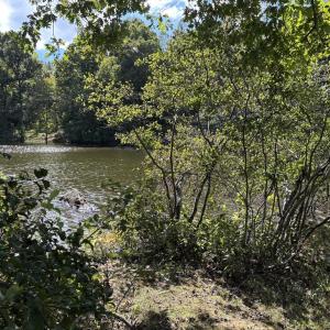 Photo #1 of 12804 PICKETT CT, SPOTSYLVANIA, VA 0.7 acres