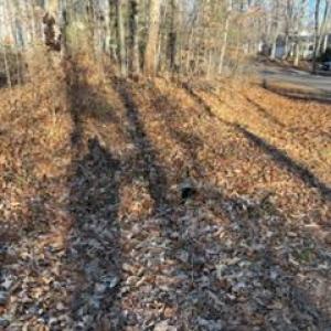 Photo #4 of 201 CUMBERLAND CIR, LOCUST GROVE, VA 0.3 acres