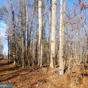 Photo #1 of RIXEYVILLE RD. RTE. 229/ LOT 1 NEXT TO KIMBER LANE, CULPEPER, VA 5.0 acres
