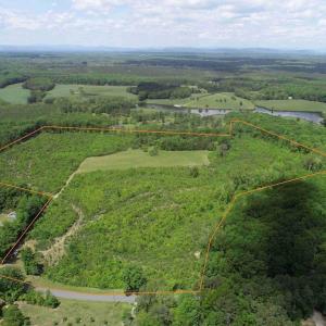 Photo #1 of  40.0 acres