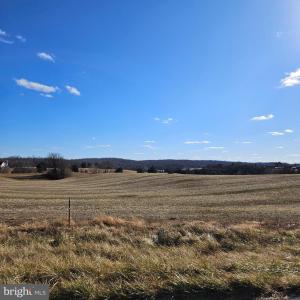 Photo #3 of RYLAND CHAPEL RD, RIXEYVILLE, VA 25.0 acres