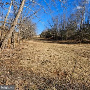 Photo #6 of PRIVATE LANE, RIXEYVILLE, VA 20.0 acres