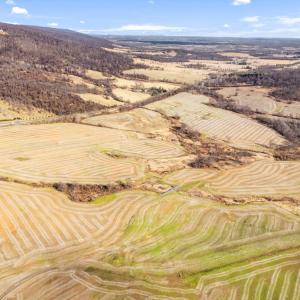 Photo #3 of 1041 WINCHESTER RD, PARIS, VA 209.4 acres