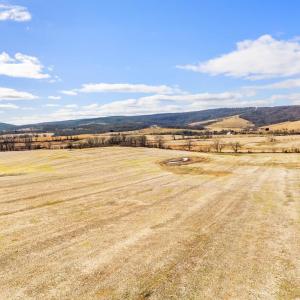 Photo #10 of 1041 WINCHESTER RD, PARIS, VA 209.4 acres