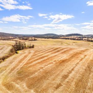 Photo #14 of 1041 WINCHESTER RD, PARIS, VA 209.4 acres