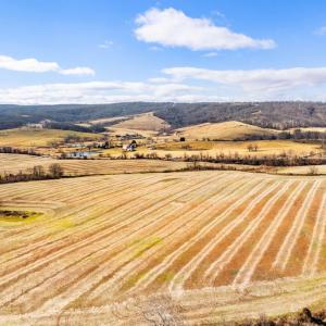 Photo #15 of 1041 WINCHESTER RD, PARIS, VA 209.4 acres