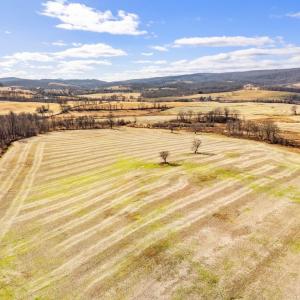 Photo #9 of 1041 WINCHESTER RD, PARIS, VA 209.4 acres