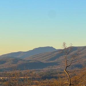 Photo #2 of REDIVIVA LN, WASHINGTON, VA 52.5 acres