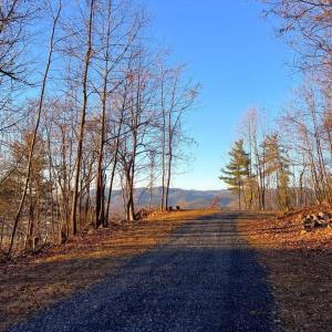 Photo #4 of REDIVIVA LN, WASHINGTON, VA 52.5 acres