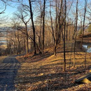 Photo #5 of REDIVIVA LN, WASHINGTON, VA 52.5 acres