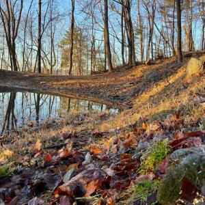 Photo #7 of REDIVIVA LN, WASHINGTON, VA 52.5 acres