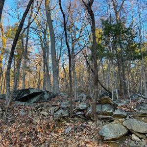 Photo #8 of REDIVIVA LN, WASHINGTON, VA 52.5 acres