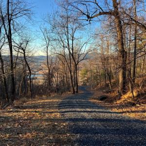 Photo #10 of REDIVIVA LN, WASHINGTON, VA 52.5 acres