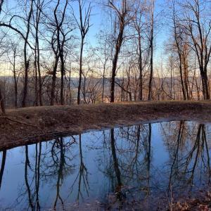 Photo #6 of REDIVIVA LN, WASHINGTON, VA 52.5 acres