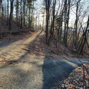 Photo #9 of REDIVIVA LN, WASHINGTON, VA 52.5 acres