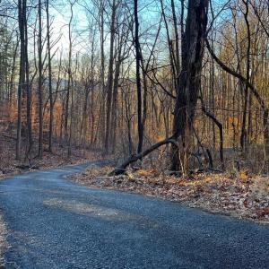 Photo #11 of REDIVIVA LN, WASHINGTON, VA 52.5 acres