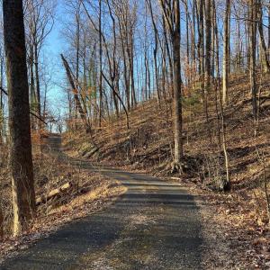 Photo #12 of REDIVIVA LN, WASHINGTON, VA 52.5 acres