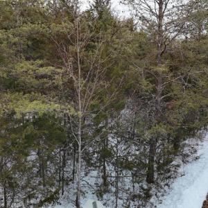 Photo #10 of FIELDSTONE LN, RHOADESVILLE, VA 5.0 acres