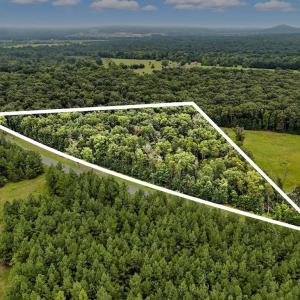 Photo #3 of ZACHARY TAYLOR, CULPEPER, VA 7.9 acres