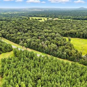 Photo #5 of ZACHARY TAYLOR, CULPEPER, VA 7.9 acres