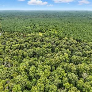 Photo #7 of ZACHARY TAYLOR, CULPEPER, VA 7.9 acres