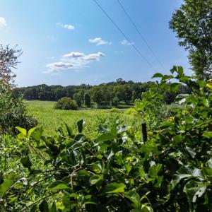 Photo #4 of CLARENDON FARM DR, MARSHALL, VA 50.0 acres