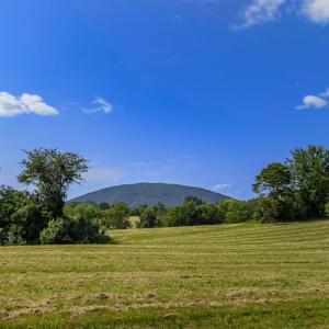 Photo #5 of CLARENDON FARM DR, MARSHALL, VA 50.0 acres