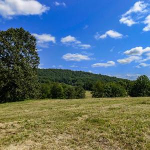 Photo #7 of CLARENDON FARM DR, MARSHALL, VA 50.0 acres