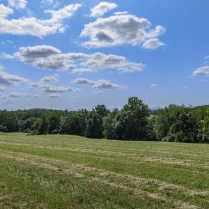 Photo #9 of CLARENDON FARM DR, MARSHALL, VA 50.0 acres