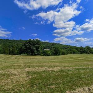 Photo #13 of CLARENDON FARM DR, MARSHALL, VA 50.0 acres