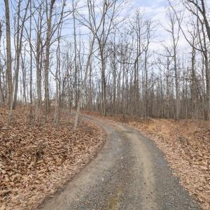 Photo #5 of 7389 LEEDS MANOR RD, MARSHALL, VA 101.0 acres