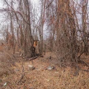 Photo #3 of SHORT CUT RD, STANLEY, VA 0.8 acres