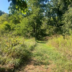 Photo #3 of JAMES MADISON HWY, GORDONSVILLE, VA 7.4 acres