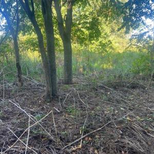 Photo #5 of JAMES MADISON HWY, GORDONSVILLE, VA 7.4 acres