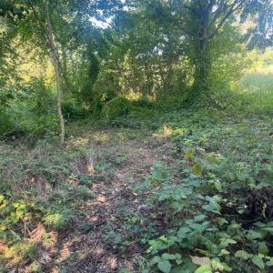 Photo #6 of JAMES MADISON HWY, GORDONSVILLE, VA 7.4 acres