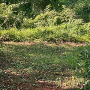 Photo #7 of JAMES MADISON HWY, GORDONSVILLE, VA 7.4 acres