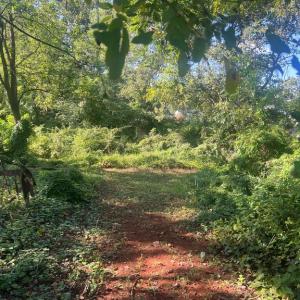 Photo #3 of JAMES MADISON HWY, ORANGE, VA 7.4 acres