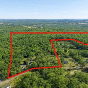 Photo #1 of 14477 HAZEL RIVER CHURCH RD, RIXEYVILLE, VA 50.5 acres