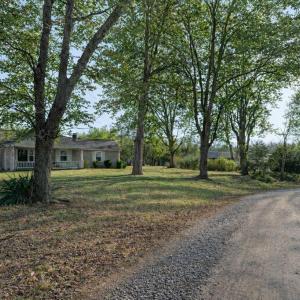 Photo #3 of 14477 HAZEL RIVER CHURCH RD, RIXEYVILLE, VA 50.5 acres