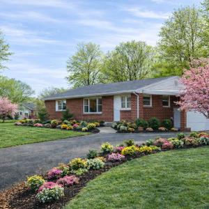 Photo #3 of 14477 HAZEL RIVER CHURCH RD, RIXEYVILLE, VA 50.5 acres