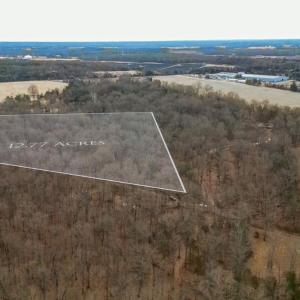 Photo #1 of HERITAGE EAGLE LN NE, BEALETON, VA 12.8 acres