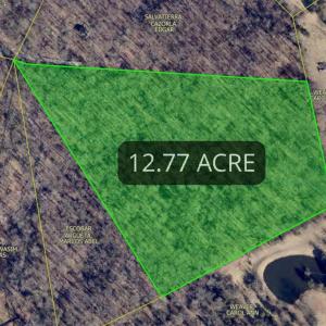 Photo #4 of HERITAGE EAGLE LN NE, BEALETON, VA 12.8 acres