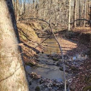 Photo #6 of 1064 HUNTERS LODGE RD, TROY, VA 10.2 acres