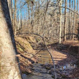 Photo #7 of 1064 HUNTERS LODGE RD, TROY, VA 10.2 acres