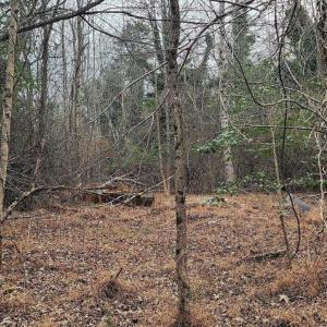 Photo #8 of 1064 HUNTERS LODGE RD, TROY, VA 10.2 acres